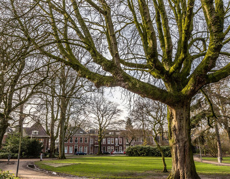 Het Wilhelminapark In Tilburg. (Foto: Marc Bolsius, Erfgoed Brabant ...