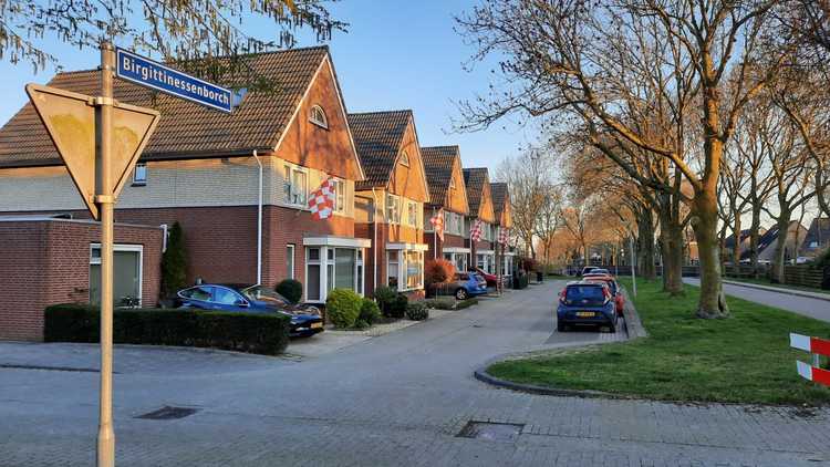 Brabantse vlaggen in Rosmalen (Foto: Jos Swanenberg, 2020)