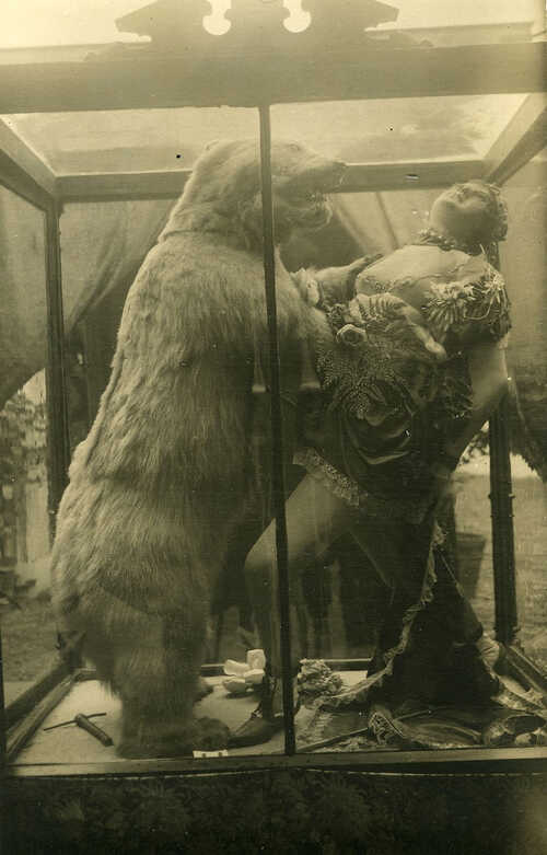 Dierentemster in gevecht met beer. Nederlands Panopticum. Circa 1925. Regionaal Archief Tilburg.