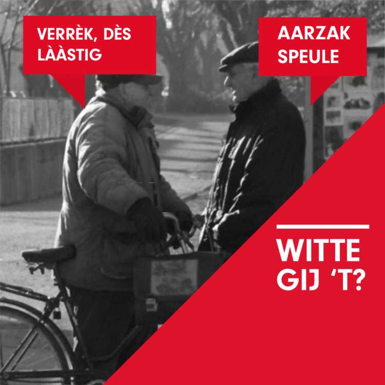 243 AARZAK SPEULE